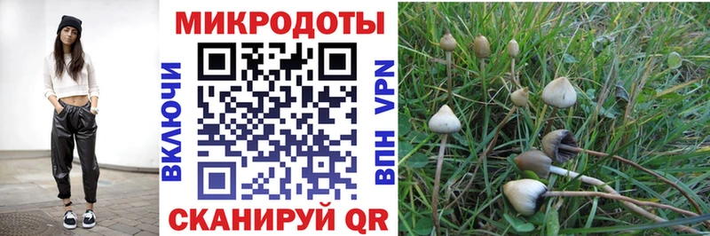 Галлюциногенные грибы Cubensis  Купить где  Сегежа 
